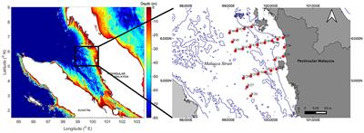 The Occurrence and Distribution of Benthic Foraminifera in Tropical Waters Along the Strait of Malacca